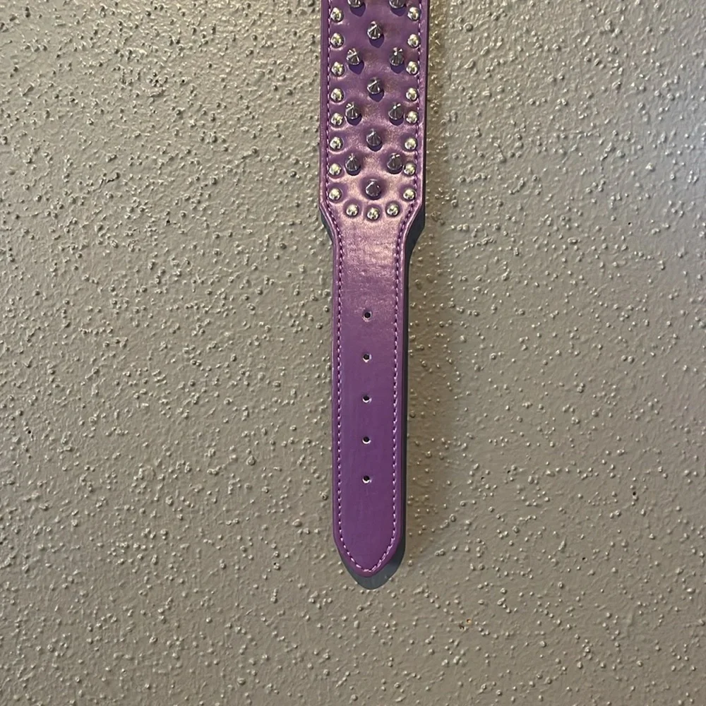 Dogs Purple Spiked Studded Dog Collar